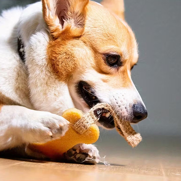 6037 Gum Gum Fil Şekilli Köpek Oyuncağı