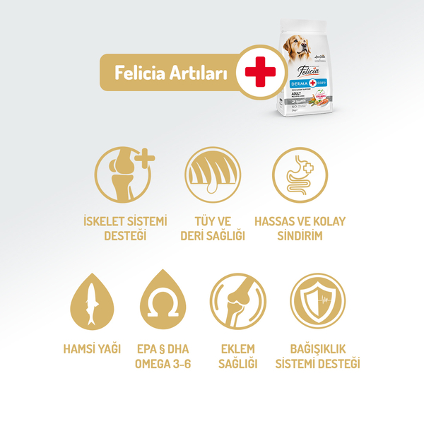 Felicia 15 Kg Kolajenli Somonlu Az Tahıllı M/Large Yetişkin Köpek Maması Breed HypoAllergenic Köpek Maması
