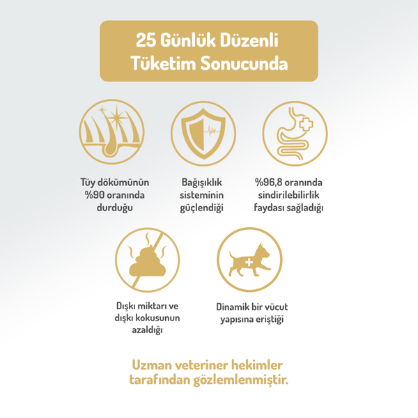 Felicia 15 Kg Kolajenli Somonlu Az Tahıllı M/Large Yetişkin Köpek Maması Breed HypoAllergenic Köpek Maması