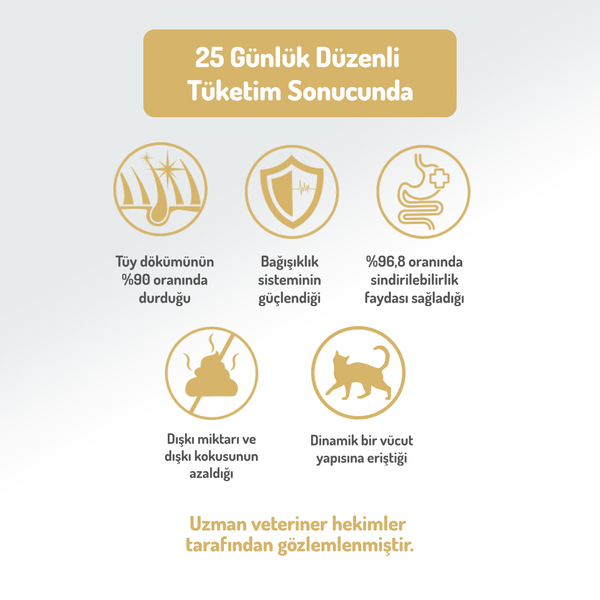 Felicia 2 Kg Kolajenli Tavuklu Az Tahıllı Yavru Kedi Maması HypoAllergenic Kedi Maması