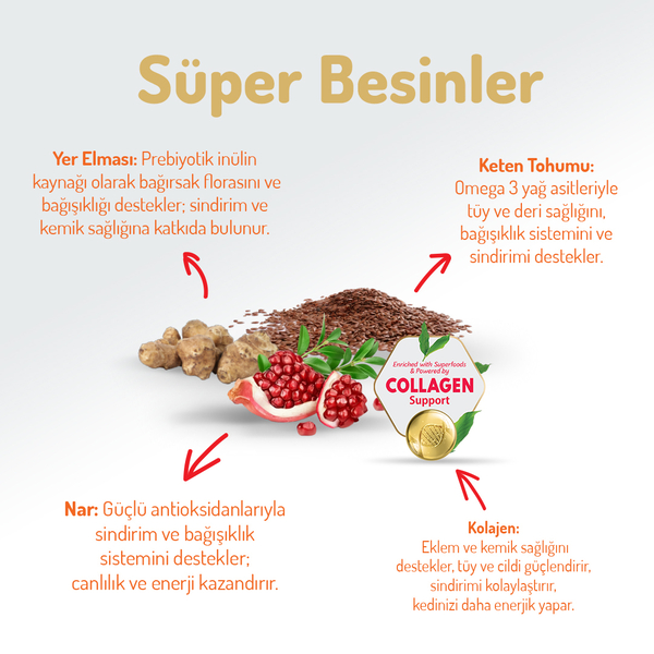 Felicia 2 Kg Kolajenli Tavuklu Az Tahıllı Yetişkin Kedi Maması HypoAllergenic Kedi Maması