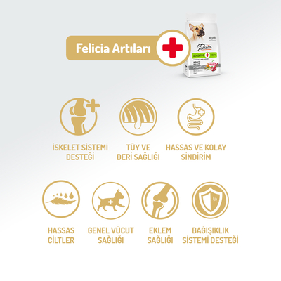 Felicia 3 Kg Kolajenli Kuzulu Az Tahıllı Small/Mini Yetişkin Köpek Maması HypoAllergenic Köpek Maması - Thumbnail