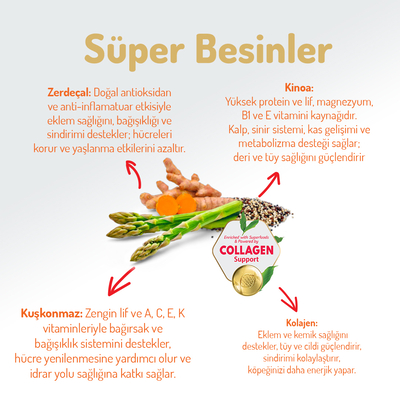 Felicia 3 Kg Kolajenli Kuzulu Az Tahıllı Flexi Size Yavru Köpek Maması HypoAllergenic Köpek Maması - Thumbnail