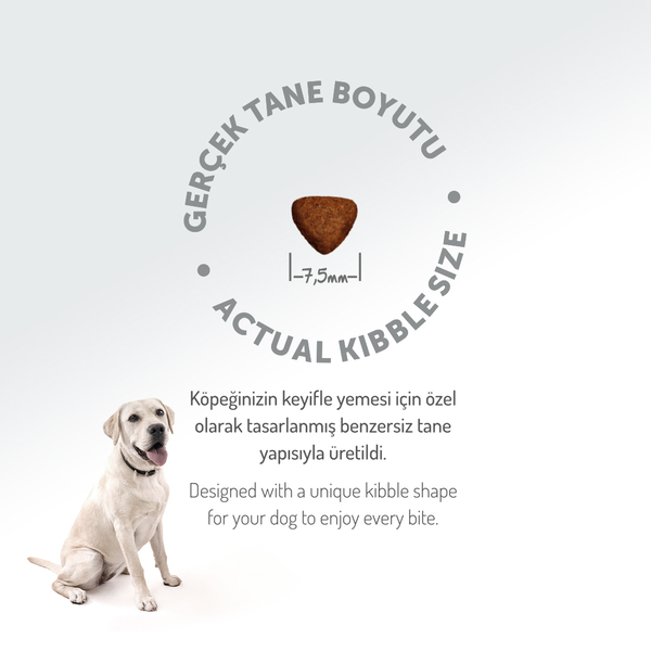 Felicia 3 Kg Kolajenli Kuzulu Az Tahıllı Flexi Size Yavru Köpek Maması HypoAllergenic Köpek Maması