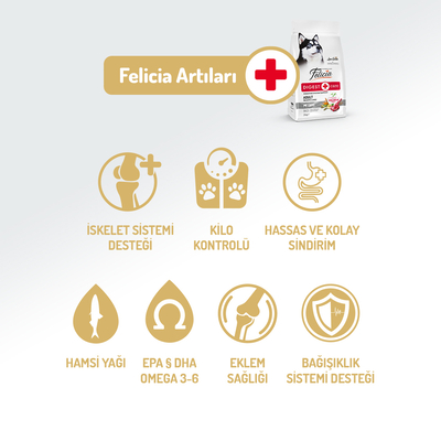 Felicia 3 Kg Kolajenli Kuzulu Az Tahıllı M/Large Yetişkin Köpek Maması Breed HypoAllergenic Köpek Maması - Thumbnail