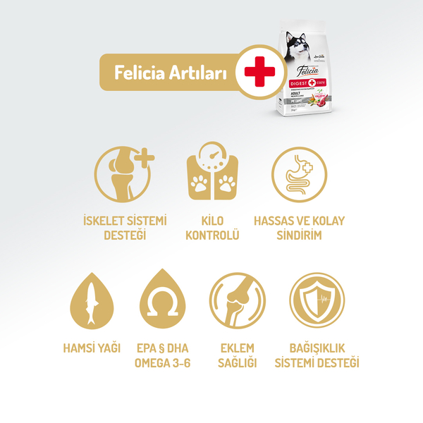 Felicia 3 Kg Kolajenli Kuzulu Az Tahıllı M/Large Yetişkin Köpek Maması Breed HypoAllergenic Köpek Maması