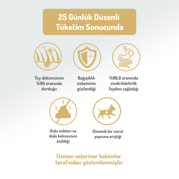 Felicia 6 Kg (2x3 Kg) Kolajenli Somonlu Az Tahıllı M/Large Yetişkin Köpek Maması Breed HypoAllergenic Köpek Maması