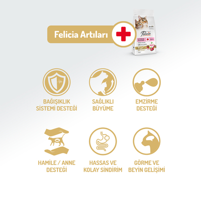 Felicia 12 Kg Kolajenli Kuzulu Az Tahıllı Yavru Kedi Maması HypoAllergenic Kedi Maması - Thumbnail