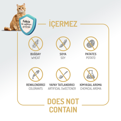 Felicia 12 Kg Kolajenli Kuzulu Az Tahıllı Yavru Kedi Maması HypoAllergenic Kedi Maması - Thumbnail