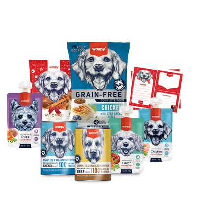 Wanpy Kalp Temalı Kutu Seti Köpek_6'lı Koli - Thumbnail