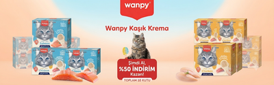 Wanpy - WANPY KAŞIK ÖDÜL 10 PAKET KARIŞIK
