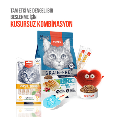 Wanpy Superfood Balkabağı & Kara Lahanalı 12’li – Krema Kedi Ödülü 5×14 g - Thumbnail