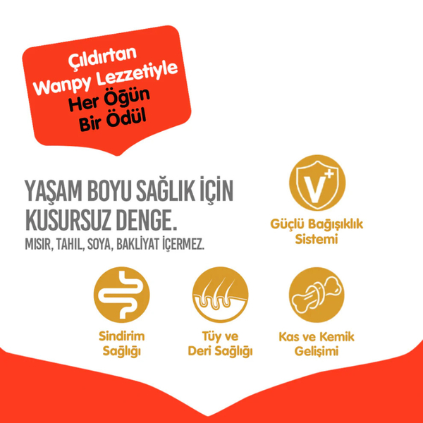 Wanpy Tahılsız Ördekli Yetişkin Köpek Maması 12 kg