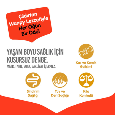 Wanpy Tahılsız Sığır Etli Yetişkin Köpek Maması 12 kg - Thumbnail