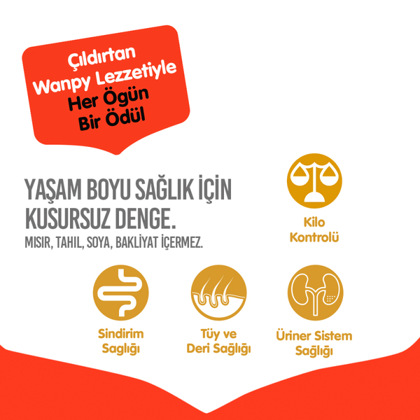 Wanpy Tahılsız Somonlu Yetişkin Kedi Maması 8 kg