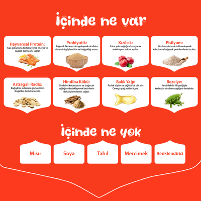 Wanpy Tahılsız Somonlu Yetişkin Kedi Maması 8 kg - Thumbnail