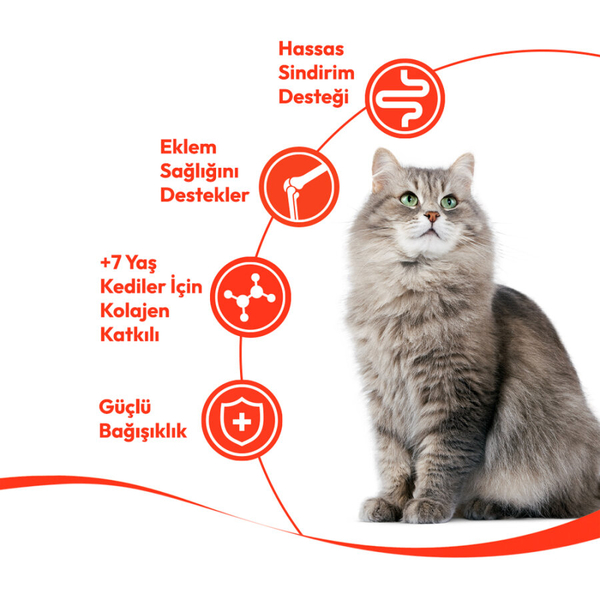 Wanpy Tavuklu & Ciğerli 12’li – 7+ Yaş Kedi Krema Ödülü 5×14 g