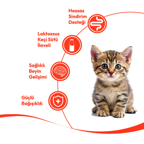 Wanpy Tavuklu & Morinalı 12’li – Yavru Kedi Krema Ödülü 5×14 g